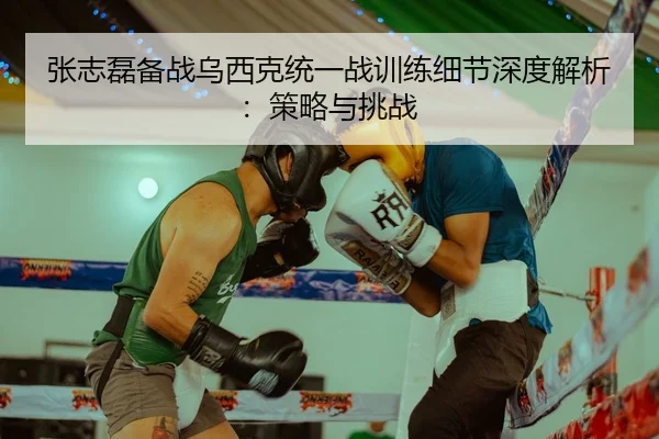 张志磊备战乌西克统一战训练细节深度解析：策略与挑战